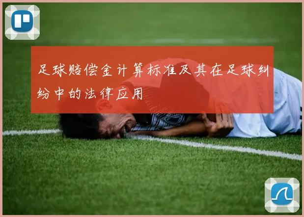 足球赔偿金计算标准及其在足球纠纷中的法律应用