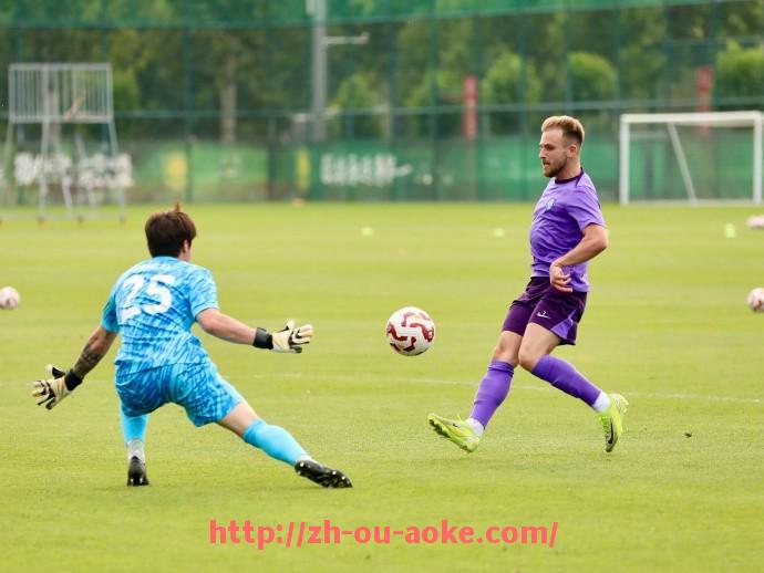 澳客足彩-世俱杯数据分析常用平台推荐及其功能优劣对比评测